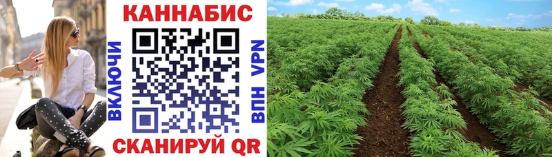 Купить наркотики Дюртюли Каннабис  СК  COCAIN  ГАШИШ  МЕФ 
